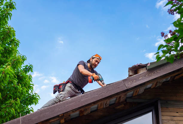 Best Roof Maintenance and Cleaning  in Atkins, IA